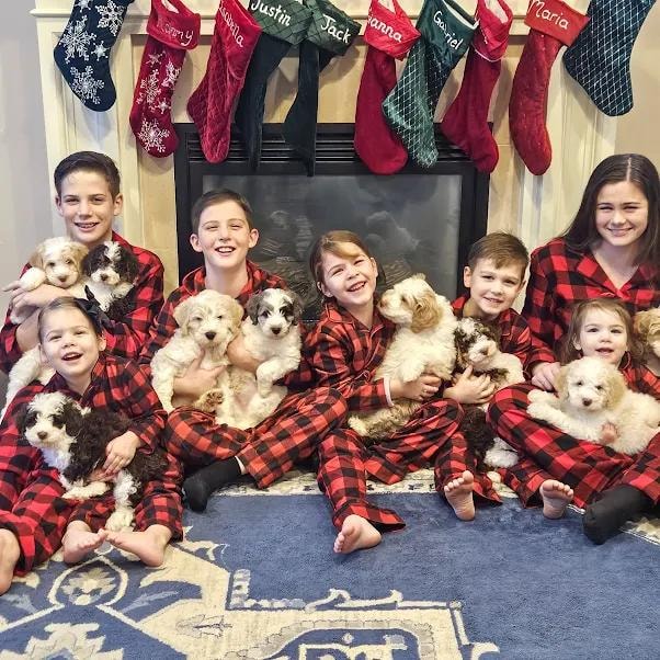 The Sparling family with their Bernedoodles
